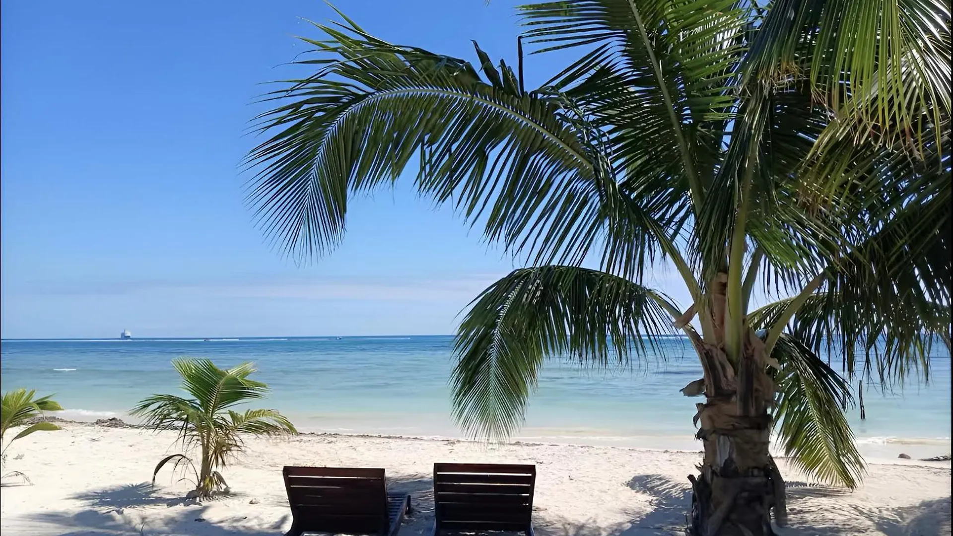 Oceanfront Bliss At Azul Azul Mahahual Lejlighed