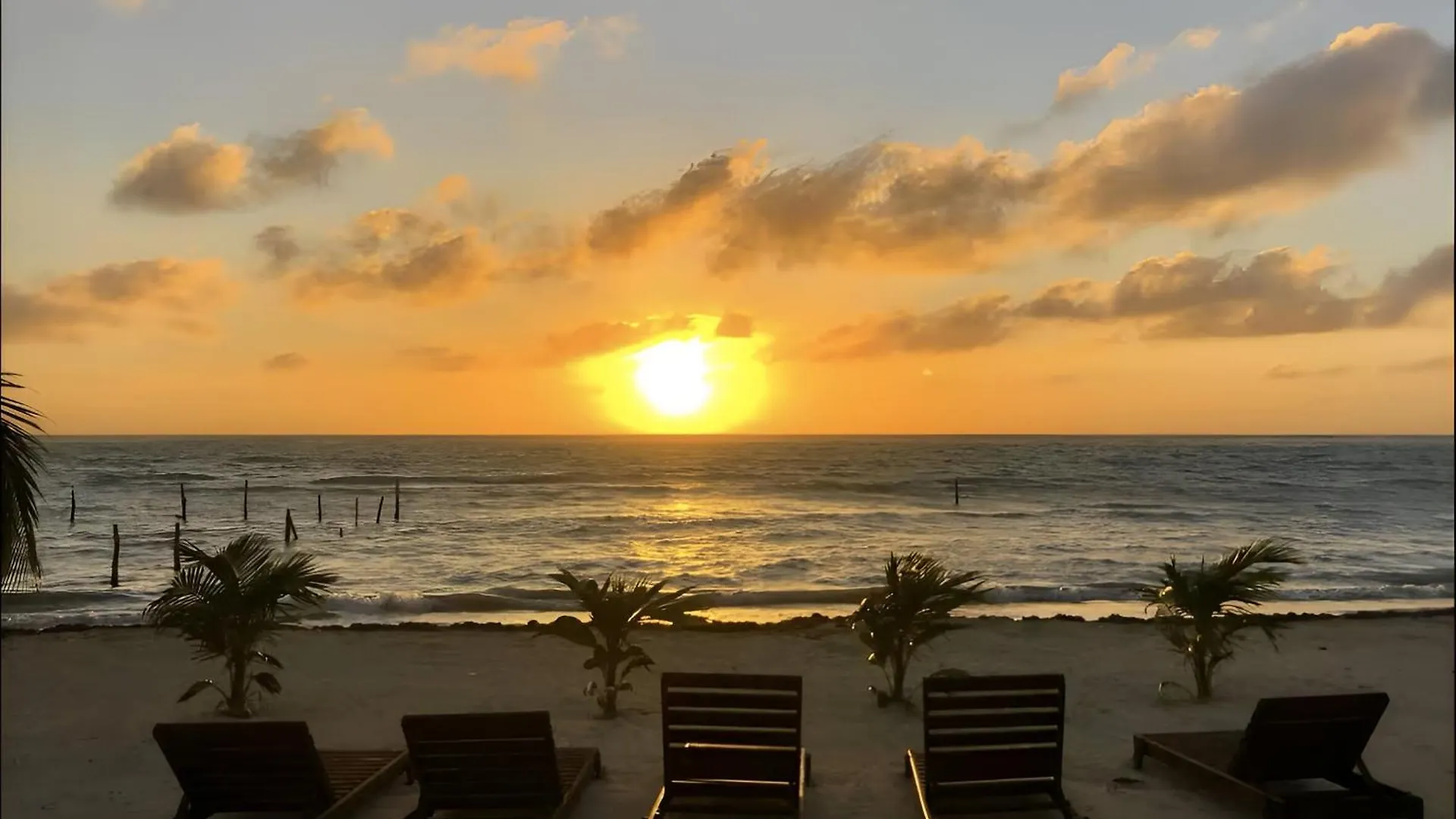 Oceanfront Bliss At Azul Azul Mahahual Apartment